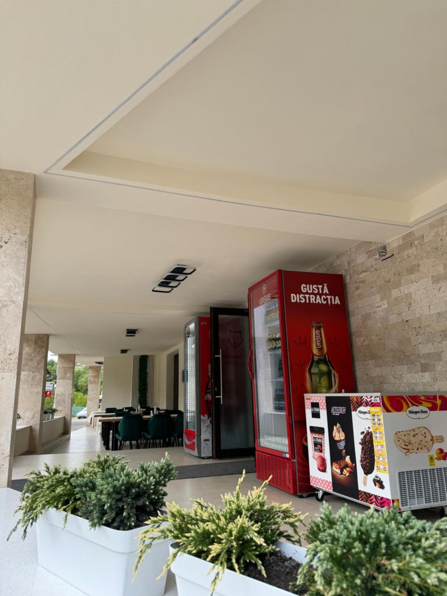 Conacul Pestera Ursilor Chiscau Εξωτερικό φωτογραφία